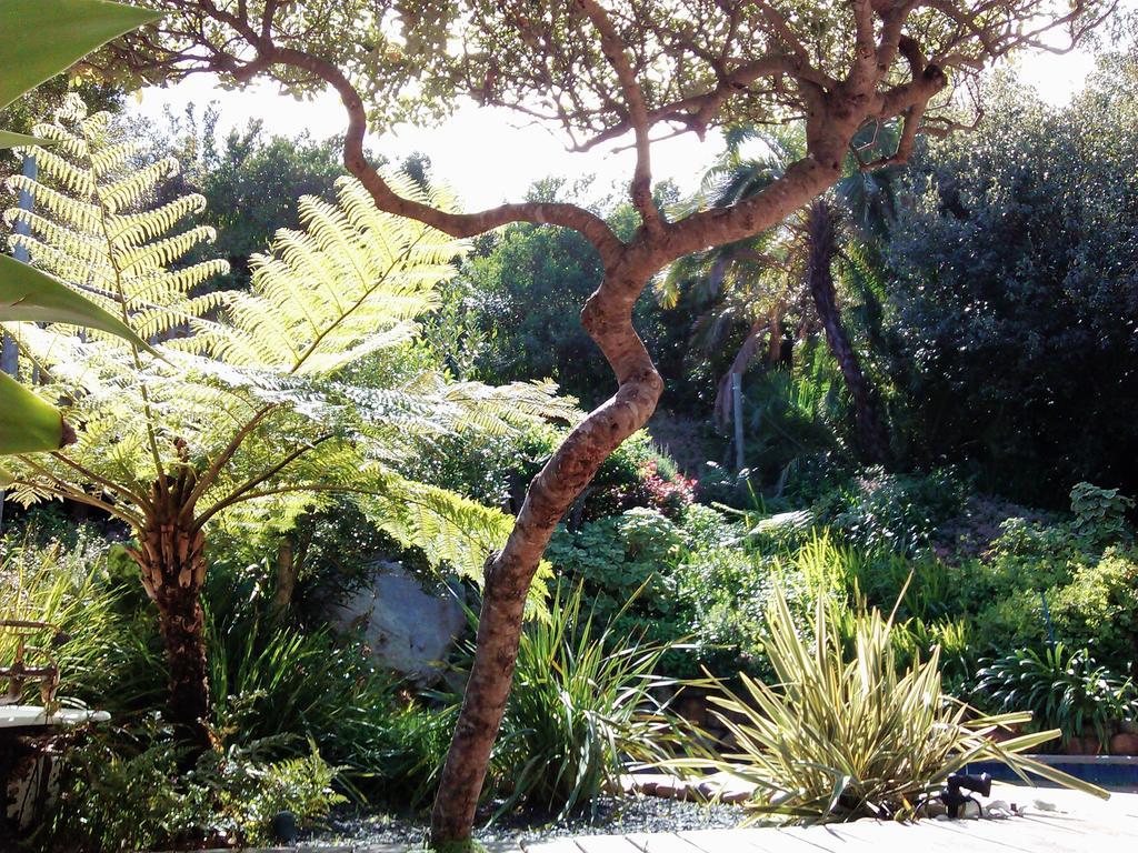 فندق Hout Bay Hideaway المظهر الخارجي الصورة