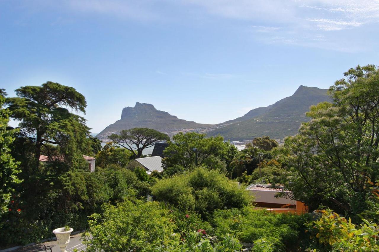 فندق Hout Bay Hideaway المظهر الخارجي الصورة